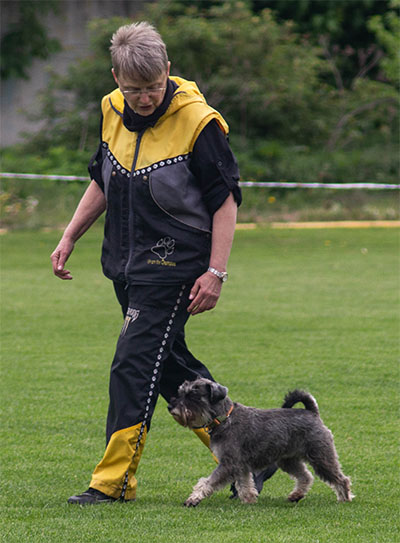 ����� ���������