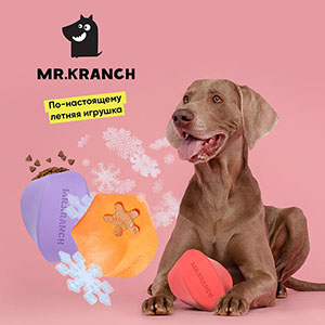 Mr. Kranch