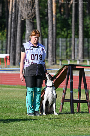 ����������� ���������