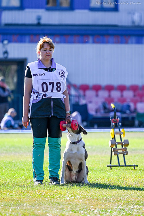 ����������� ���������