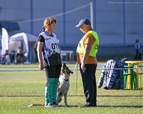 ����������� ���������