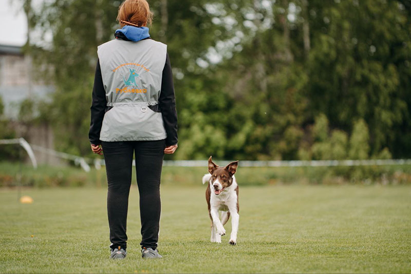 ����������� ���������